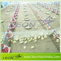 Leon series highly customized feeding line for poultry and livestock